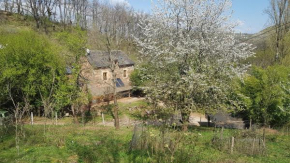 maison isolée dans les vignes et les bois